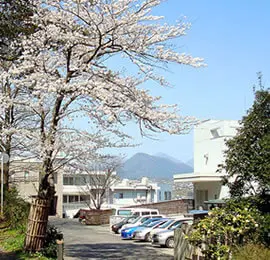 医療法人 明和会　佐藤病院 画像2